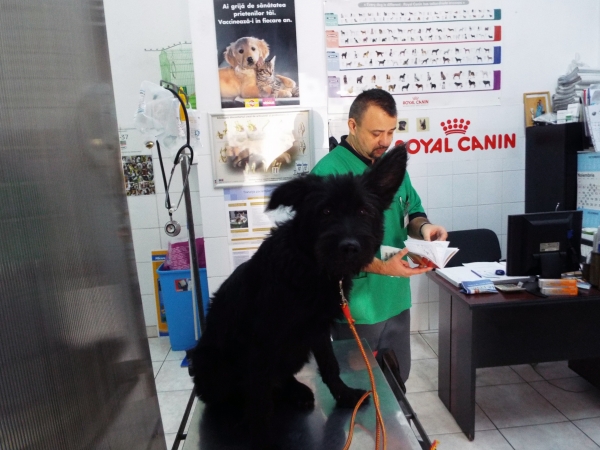 Cabinet veterinar Pedavet